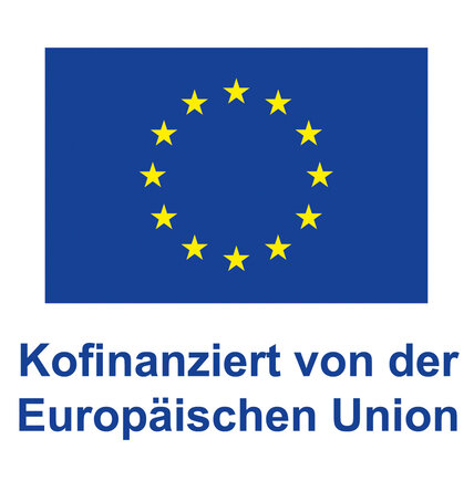 DE_V_Kofinanziert_von_der_EuropN__V2_POS